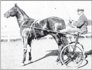 Download The Dan Patch Watch - a Minnesota memory